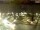 Webcam in Pátzcuaro, 292.3 km entfernt