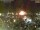 Webcam in Pátzcuaro, 259 km entfernt