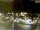 Webcam in Pátzcuaro, 354.2 km