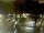 Webcam in Pátzcuaro, 407 km