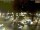 Webcam in Pátzcuaro, 632.1 km