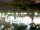 Webcam in Pátzcuaro, 100.2 mi away