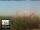 Webcam in Florence, 0.9 mi away
