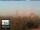 Webcam in Florence, 0.9 mi away