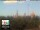 Webcam in Florence, 0.6 mi away