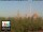 Webcam in Florenz, 0.9 km entfernt