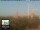 Webcam in Firenze, 1.6 km