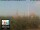 Webcam in Florence, 5.3 mi away