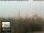 Webcam in Florenz, 1.6 km entfernt