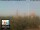 Webcam in Florence, 7.9 mi away