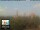 Webcam in Florence, 5 mi away
