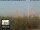 Webcam in Florenz, 49.7 km entfernt
