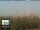 Webcam in Firenze, 2.2 km