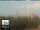 Webcam in Florence, 0.7 mi away