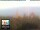 Webcam in Florence, 0.9 mi away