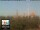 Webcam in Firenze, 1.6 km