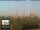 Webcam in Florence, 0.6 mi away