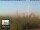 Webcam in Florence, 0.9 mi away