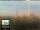 Webcam in Florence, 0.7 mi away