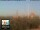Webcam in Florence, 0.2 mi away