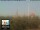 Webcam in Florenz, 49.7 km entfernt