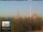 Webcam in Florence, 2.2 mi away