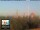 Webcam in Florence, 19.1 mi away