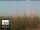 Webcam in Florenz, 49.7 km entfernt