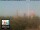 Webcam in Florence, 17.3 mi away