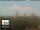 Webcam in Florence, 0.9 mi away