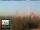 Webcam in Florence, 0.7 mi away