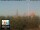 Webcam in Florence, 0.7 mi away