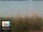Webcam in Florenz, 49.7 km entfernt