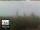 Webcam in Florence, 0.8 mi away