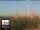 Webcam in Florencia, 49.7 km