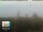 Webcam in Florence, 0.6 mi away