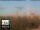 Webcam in Florenz, 49.7 km entfernt