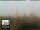 Webcam in Florencia, 49.7 km