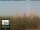 Webcam in Florenz, 49.7 km entfernt