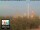 Webcam in Florence, 0.8 mi away