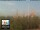 Webcam in Florenz, 1.6 km entfernt