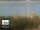 Webcam in Florence, 0.6 mi away