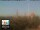 Webcam in Florenz, 49.7 km entfernt