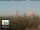 Webcam in Florenz, 49.7 km entfernt