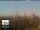 Webcam in Florencia, 21.9 km