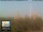 Webcam in Firenze, 2.2 km