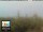 Webcam in Florence, 0.7 mi away