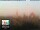 Webcam in Florence, 0.2 mi away