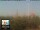 Webcam in Florence, 2.9 mi away