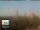 Webcam in Florencia, 49.7 km